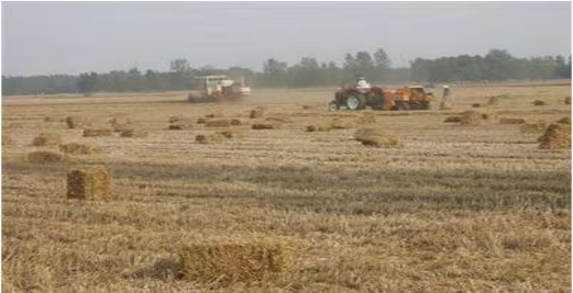 生物質(zhì)鍋爐 生物質(zhì)鍋爐