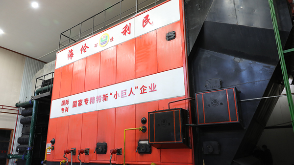 煤改生物質(zhì)鍋爐廠家 煤改生物質(zhì)鍋爐廠家