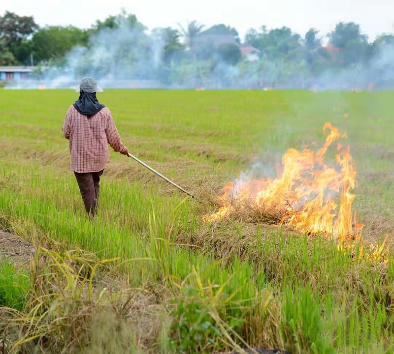 秸稈打捆直燃鍋爐 秸稈打捆直燃鍋爐