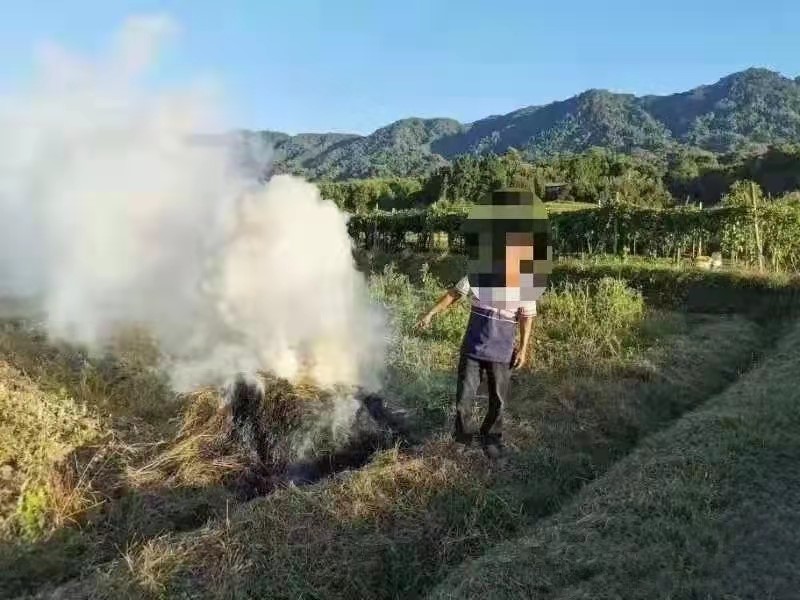 秸稈打捆直燃鍋爐 秸稈打捆直燃鍋爐