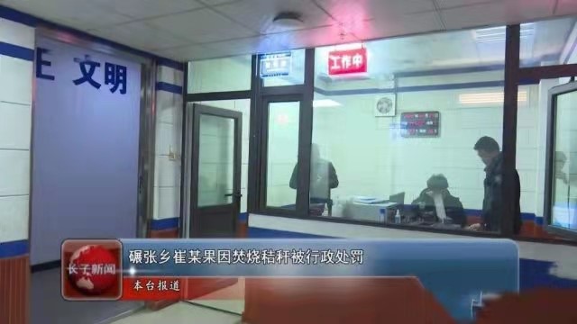 秸稈打捆直燃鍋爐 秸稈打捆直燃鍋爐